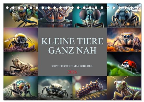 Kleine Tiere ganz nah (Tischkalender 2026 DIN A5 quer), CALVENDO Monatskalender: Farbenprächtige Makrobilder von Insekten, Spinnen und kleinen Tieren (CALVENDO Tiere)