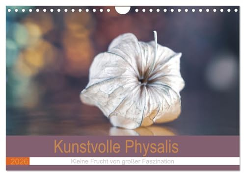 Kunstvolle Physalis-Kleine Frucht von großer Faszination (Wandkalender 2026 DIN A4 quer), CALVENDO Monatskalender: Stimmungsvolle Fotos von Fruchthüllen der Physalis (CALVENDO Kunst)
