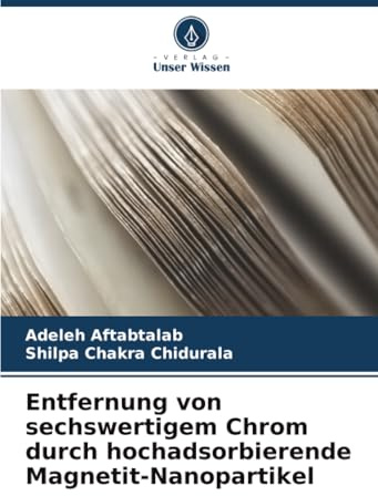 Entfernung von sechswertigem Chrom durch hochadsorbierende Magnetit-Nanopartikel