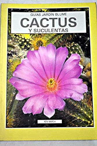 Cactus y suculentas