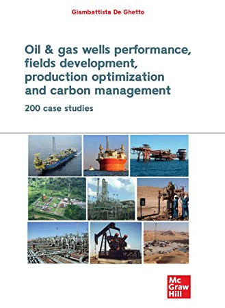 Oil & gas wells performance, fields development, production optimization and carbon management. 200 CASE STUDIES
