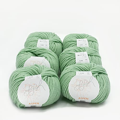 ggh Aspen Box - dicke Merinowolle Mischung - 6x50g Knäuel (insgesamt 300g) - zum Stricken oder Häkeln Farbe 085 - Frostige Jade