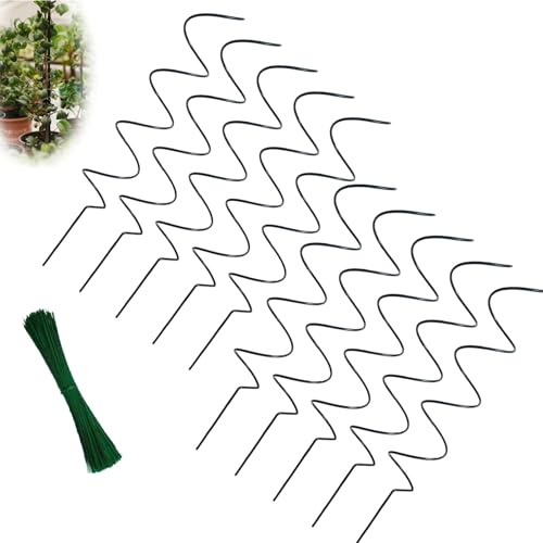 Lot de 6 piquets en spirale pour plantes grimpantes, potager, fleurs en pot, rosiers, cages à tomates, faciles à utiliser