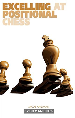 Excelling at Positional Chess (Everyman Chess)