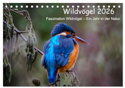 Wildvögel 2026 (Tischkalender 2026 DIN A5 quer), CALVENDO Monatskalender: Entdecke die faszinierende Welt der Wildvögel in ihrem natürlichen Lebensraum - Monat für Monat! (CALVENDO Tiere)