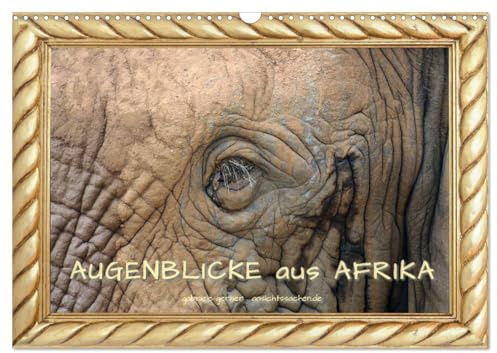 Augenblicke aus Afrika (Wandkalender 2026 DIN A3 quer), CALVENDO Monatskalender: Detailstarke und einzigartige Aufnahmen verschiedener Wildtiere aus ... Fotografien durch das Jahr. (CALVENDO Orte)