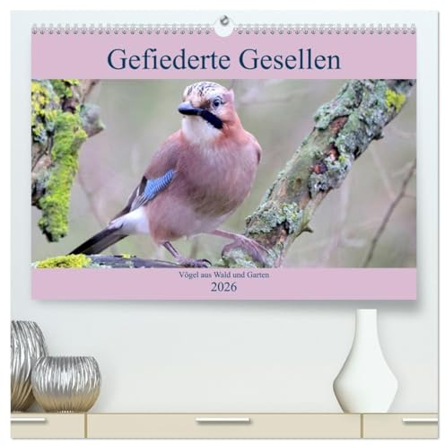 Gefiederte Gesellen - Vögel aus Wald und Garten (hochwertiger Premium Wandkalender 2026 DIN A2 quer), Kunstdruck in Hochglanz: Aus dem Reich der Vögel (CALVENDO Tiere)