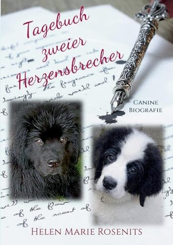 Tagebuch zweier Herzensbrecher