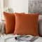 MIULEE Samt Kissenbezug Kissenhülle Kissenbezüge Sofakissen Dekorative Dekokissen Couchkissen Deko Bezug Überzug für Sofa Wohnzimmer Schlafzimmer 2er Set 26x26 Inch 65x65 cm Orange