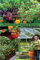 The Ultimate Guide To Raised Bed, Vegetable, Companion, Greenhouse And Container Gardening For Beginners: Proven Steps and Strategies for Beginners