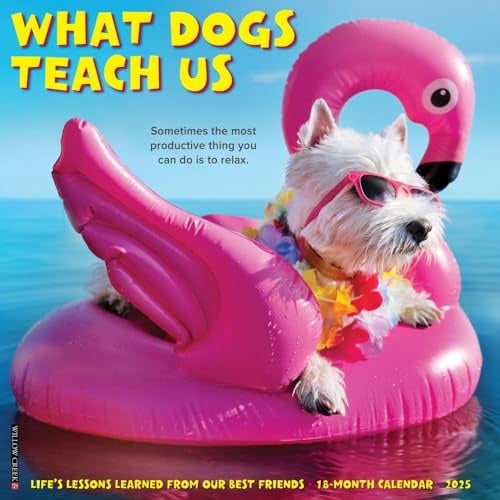 Willow Creek Press Calendars, What Dogs Teach Us 2025 Wall Calendar