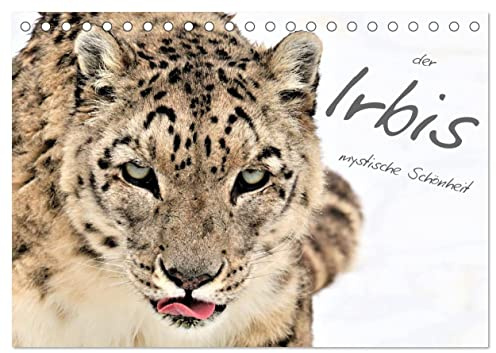 der Irbis - mystische Schönheit (Tischkalender 2026 DIN A5 quer), CALVENDO Monatskalender: Eine Reihe schöner Bilder von Schneeleoparden (CALVENDO Tiere)