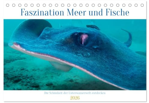 Faszination Meer und Fische (Tischkalender 2026 DIN A5 quer), CALVENDO Monatskalender: Tauche ein in eine geheimnisvolle Welt mit schillernden Farben und skurrilen Formen (CALVENDO Tiere)