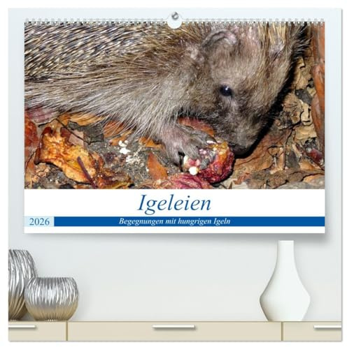 Igeleien - Begegnungen mit hungrigen Igeln (hochwertiger Premium Wandkalender 2026 DIN A2 quer), Kunstdruck in Hochglanz: Igel an ihren Futterplätzen im Garten (CALVENDO Tiere)