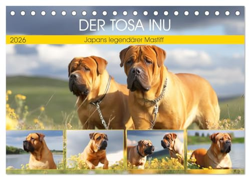 Der Tosa Inu. Japans legendärer Mastiff (Tischkalender 2026 DIN A5 quer), CALVENDO Monatskalender: Ein stolzer Begleiter mit Herz, Kraft und Geschichte in anmutigen Bildern (CALVENDO Tiere)