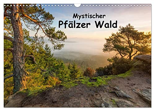 Mystischer Pfälzer Wald (Wandkalender 2026 DIN A3 quer), CALVENDO Monatskalender: Der Pfälzer Wald im Licht (CALVENDO Natur)
