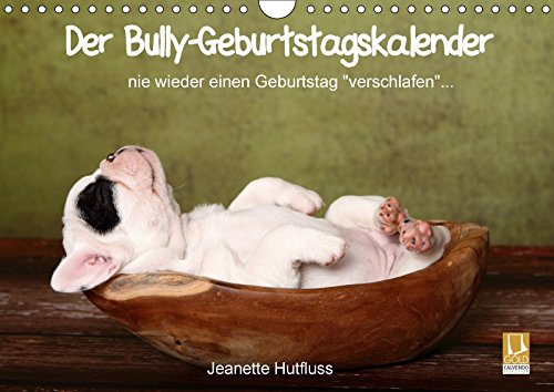 Der Bully-Geburtstagskalender - nie wieder einen Geburtstag verschlafen... (Wandkalender immerwährend DIN A4 quer) Monatskalender