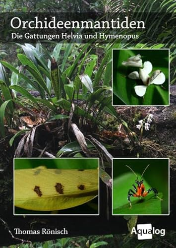 Orchideenmantiden - Die Gattungen Helvia & Hymenopus (Aqualog)