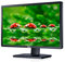 Dell Professional P2412H 24 inch LED monitor (Renewed)