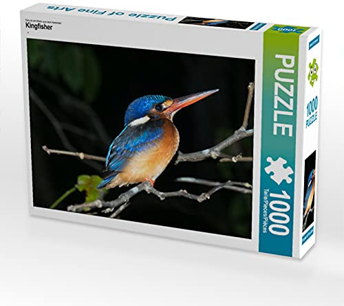 CALVENDO Puzzle Kingfisher | 1000 Teile Lege-Größe 64 x 48 cm Foto-Puzzle für glückliche Stunden