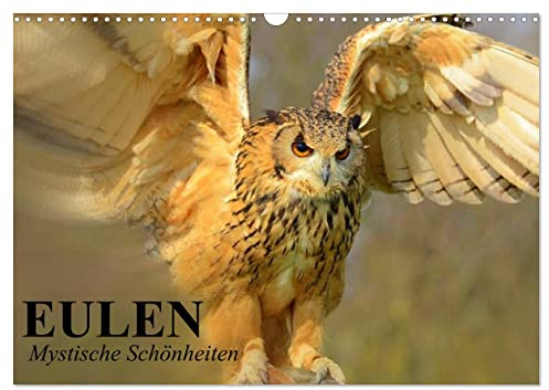 Eulen. Mystische Schönheiten (Wandkalender 2024 DIN A3 quer), CALVENDO Monatskalender: Mystische Bernsteinaugen, die man selten zu Gesicht bekommt (CALVENDO Tiere)