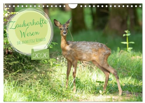 Zauberhafte Wesen - anmutiges Rehwild (Wandkalender 2026 DIN A4 quer), CALVENDO Monatskalender: Verwunschene Begegnungen mit Rehen in der freien Natur. (CALVENDO Tiere)
