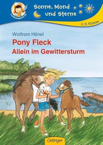 Pony Fleck. Allein im Gewittersturm: Sonne, Mond und Sterne. 2./3. Klasse