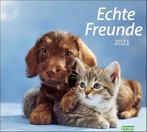 times&more Echte Freunde Bildkalender Kalender 2021
