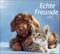 times&more Echte Freunde Bildkalender Kalender 2021