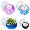 4PCS Resin Molds, AFUNTA Tea Light Candles Holders Silicone Molds Flower Pots Resin Molds Silicone Jewellery Box Epoxy Resin Mold, for DIY Jewelry Box, Home Decoration