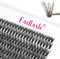 Fadlash Cluster Cils Individuels Cils 40 Bundles 0.07mm D Curl 10mm Longueur Moyenne Individuel Extension des Cils