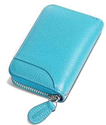 GADIEMKENSD Credit Card Holder RFID Blocking Sleeve Wallet with Zipper Cute Carteras para Mujer Tarjetero De Purse for Travel Mens Business Card Cases Cash Envelopes Wallet for Women's Gift Sky Blue