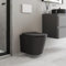 Affine® Terre Modern Bathroom Cloakroom Wall Hung Rimless Toilet Space Saving Small WC Toilets Soft Close Top Fix Seat D Shape Pan Ceramic, Matt Black