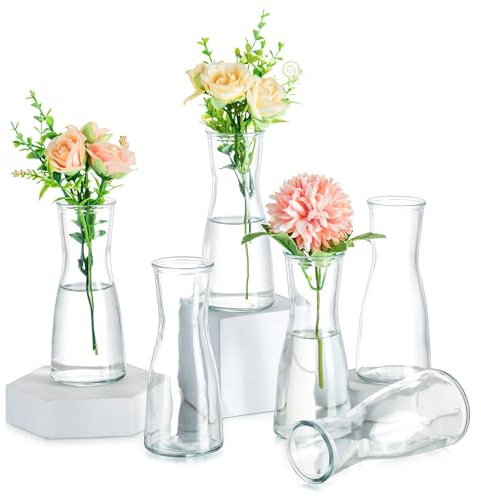 Hewory 6pz Vaso Fiori Vetro Trasparente: Decorativo da Interno per Centrotavola Matrimonio - Vasi per Decorazioni Casa Arredamento Soggiorno