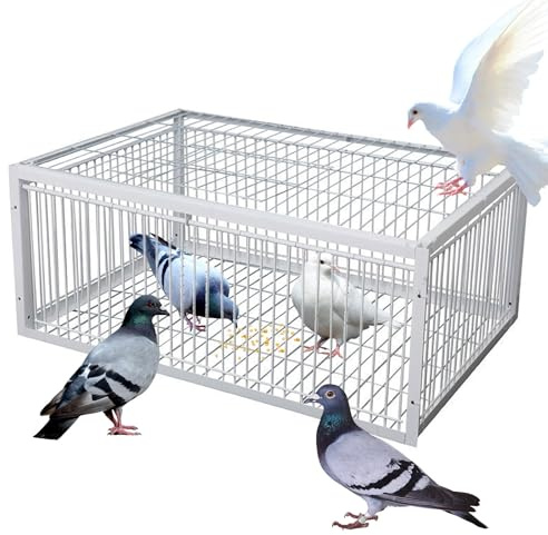 ASQUAR Taubenfalle mit Ausbruchsicherem Design, Automatische Vogelfangfalle mit Einweg-Eingang, Tragbarer und Einfach zu Montierender Vogelfangkäfig für Bauernhöfe, Wälder(Weiß,60x40x26CM)