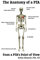 The Anatomy of a PTA: From a PTA's Point of View