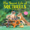 The Secret Life of Squirrels Wall Calendar 2024: A Year of Wild Squirrels