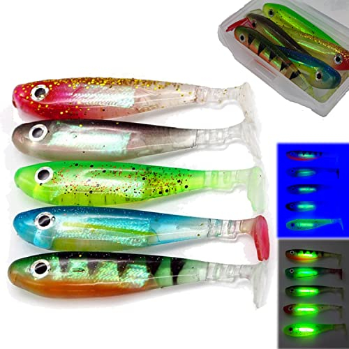 Messeneuheit 2023 Gummifische Set mit Knicklicht/Lockmittel Kanal 12cm | Gummifisch Köder mit 3D Augen & realistischen Dekor | Raubfisch Angel Köder in Köderbox für Zander (5X & Box mit Reflektor)