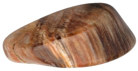 Piedras extraordinarias Gema rodada + Ficha técnica Talla L: 3-4 cm