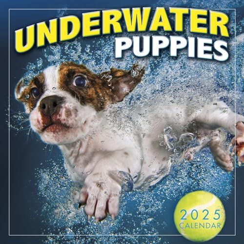 Underwater Puppies 2025 Mini-Kalender – Fotografie von Seth Casteel, 17,8 x 17,8 cm