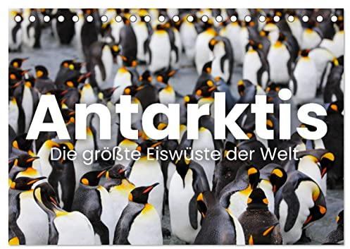 Antarktis - Die größte Eiswüste der Welt. (Tischkalender 2026 DIN A5 quer), CALVENDO Monatskalender: Vereiste Seen und Pinguine. (CALVENDO Natur)