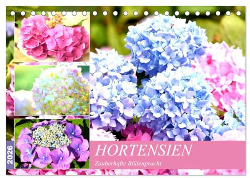 Hortensien. Zauberhafte Blütenpracht (Tischkalender 2026 DIN A5 quer), CALVENDO Monatskalender: Prachtvolle Blumen mit echtem Show-Effekt für Balkon und Garten. (CALVENDO Hobbys)