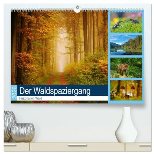 Der Waldspaziergang (hochwertiger Premium Wandkalender 2026 DIN A2 quer), Kunstdruck in Hochglanz: Der herrliche deutsche Wald ist immer einen Besuch wert. (CALVENDO Natur)