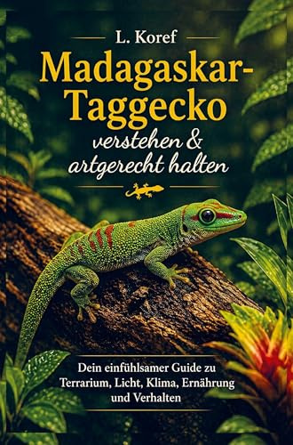 Madagaskar-Taggecko verstehen & artgerecht halten: Dein einfühlsamer Guide zu Terrarium, Licht, Klima, Ernährung und Verhalten