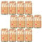 Cola Vaniglia | 12 Lattine da 330ml | Bevanda americana