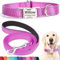 SEOUGEE Juego de collar y correa para perro personalizado con hebilla de metal grabada, collares reflectantes de nailon y correa para perros grandes con placa de identificación personalizada número de