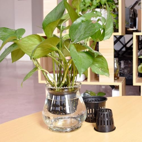 Vasos de plástico para macetas, 25 unidades para plantar jardines y sistemas de clonación aeropónica