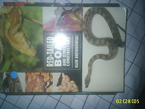 The Guide to Owning a Red-Tailed Boa