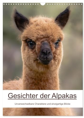 Gesichter der Alpakas - Unverwechselbare Charaktere und einzigartige Blicke (Wandkalender 2026 DIN A3 hoch), CALVENDO Monatskalender: Zwölf ... nah und unverwechselbar. (CALVENDO Tiere)