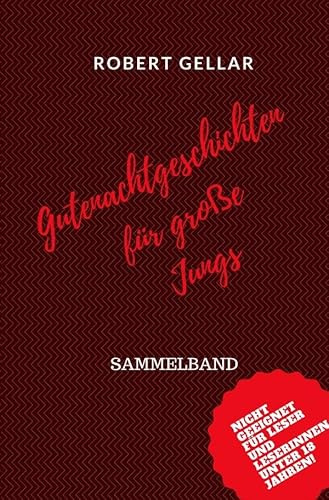 Gutenachtgeschichten für große Jungs